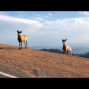 Meet your Posher, Kaleb